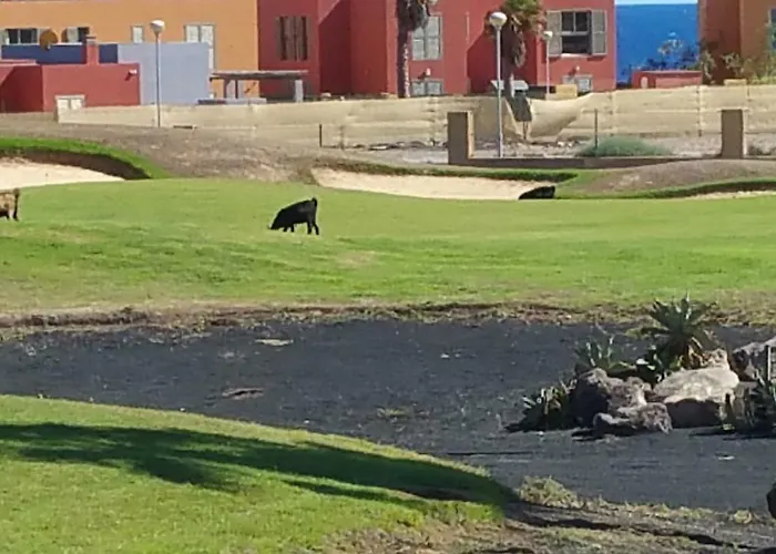 Brisa Golf Salinas Villa